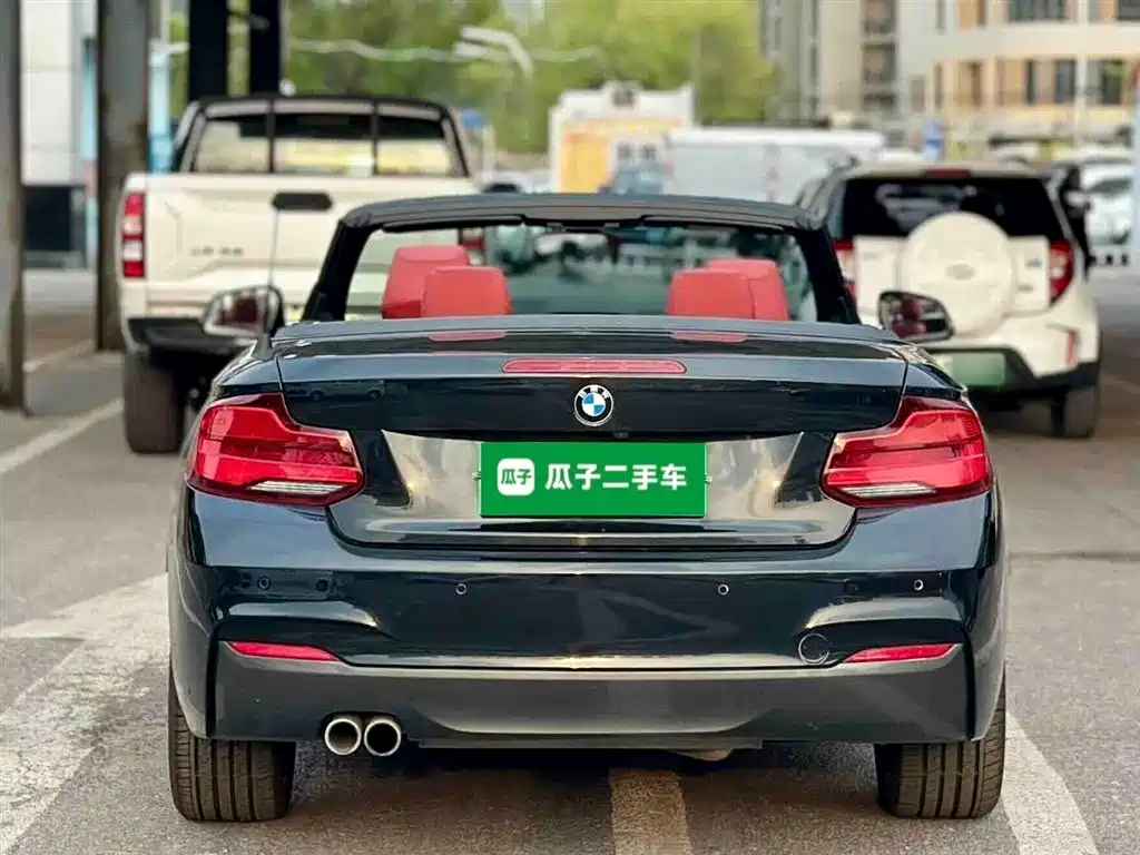 BMW 2 Series (Import) 2018 225i Convertible Coupe Premium M Sport Package фото 6