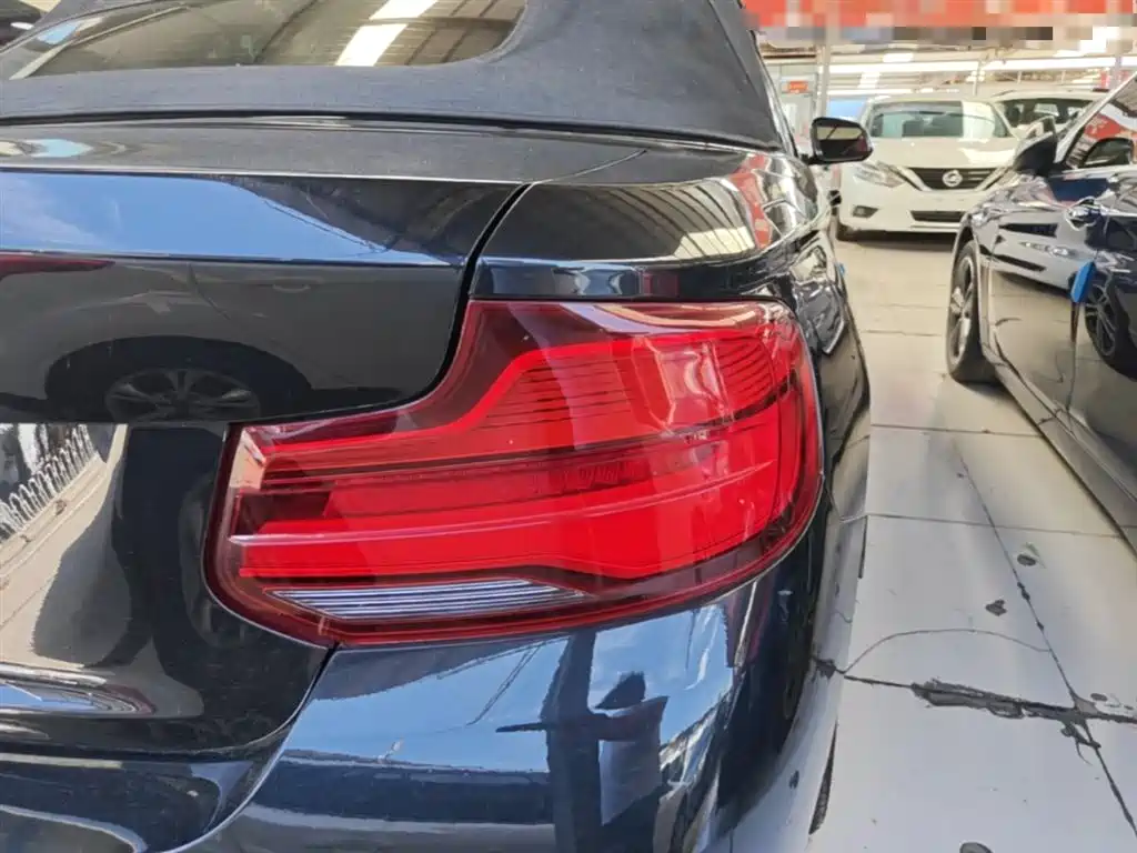 BMW 2 Series (Import) 2018 225i Convertible Coupe Premium M Sport Package фото 8