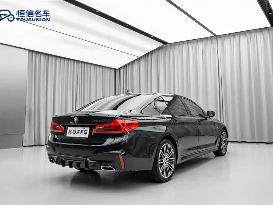 BMW 5 Series 2019 530Li xDrive M Sport Package фото 9