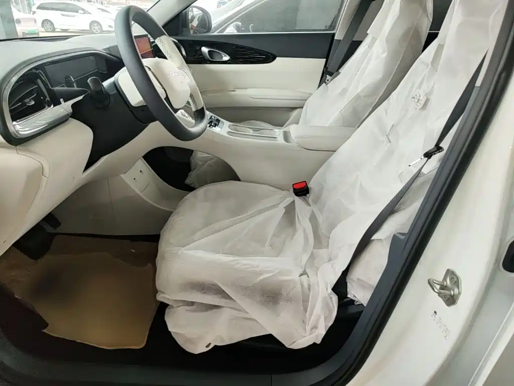 Geely Galaxy Starry Wish 2026 2026 Edition 310km Youth Version