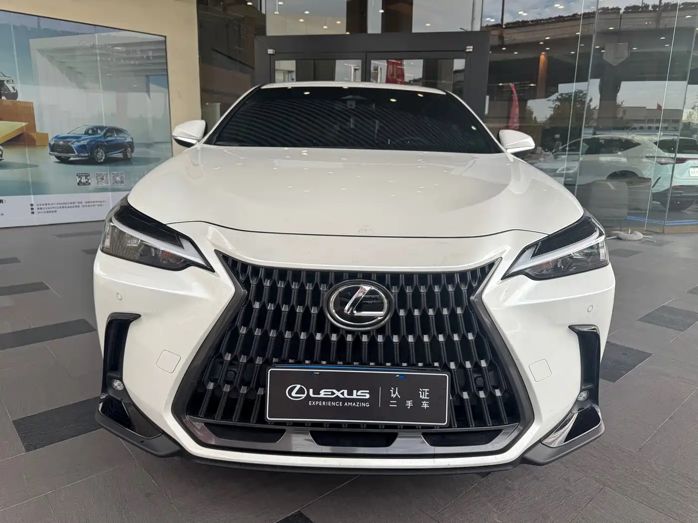 Lexus NX 2024 350h FWD Joy Creation Edition фото 2