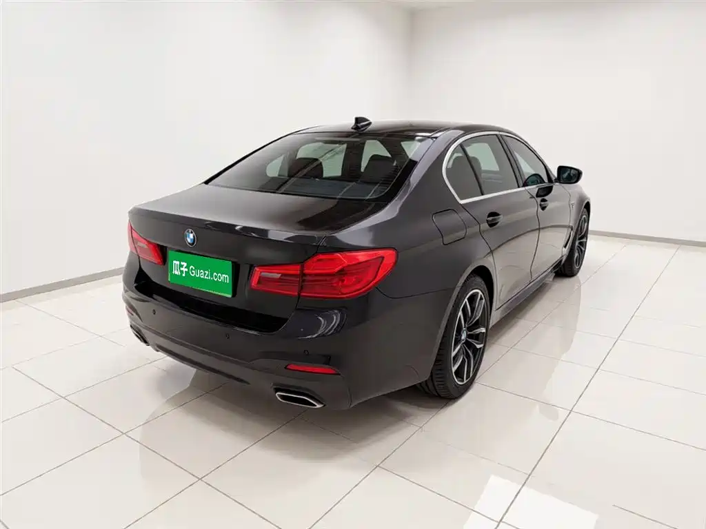BMW 5 Series 2020 530Li Leading M Sport Package фото 4