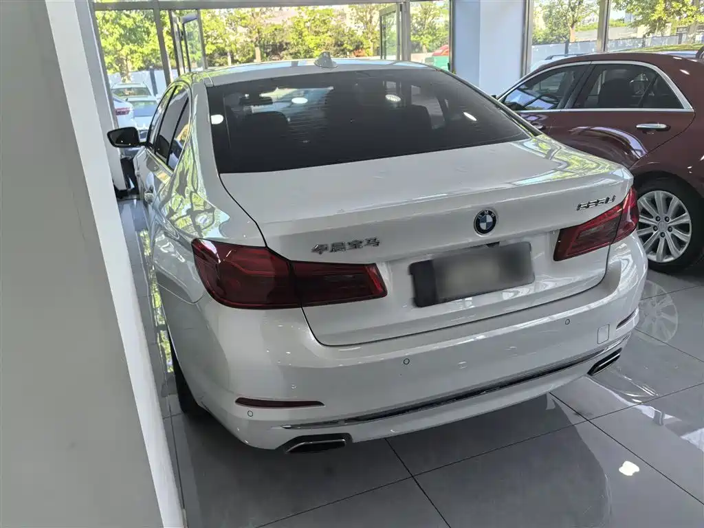 BMW 5 Series 2019 525Li Luxury Package фото 9