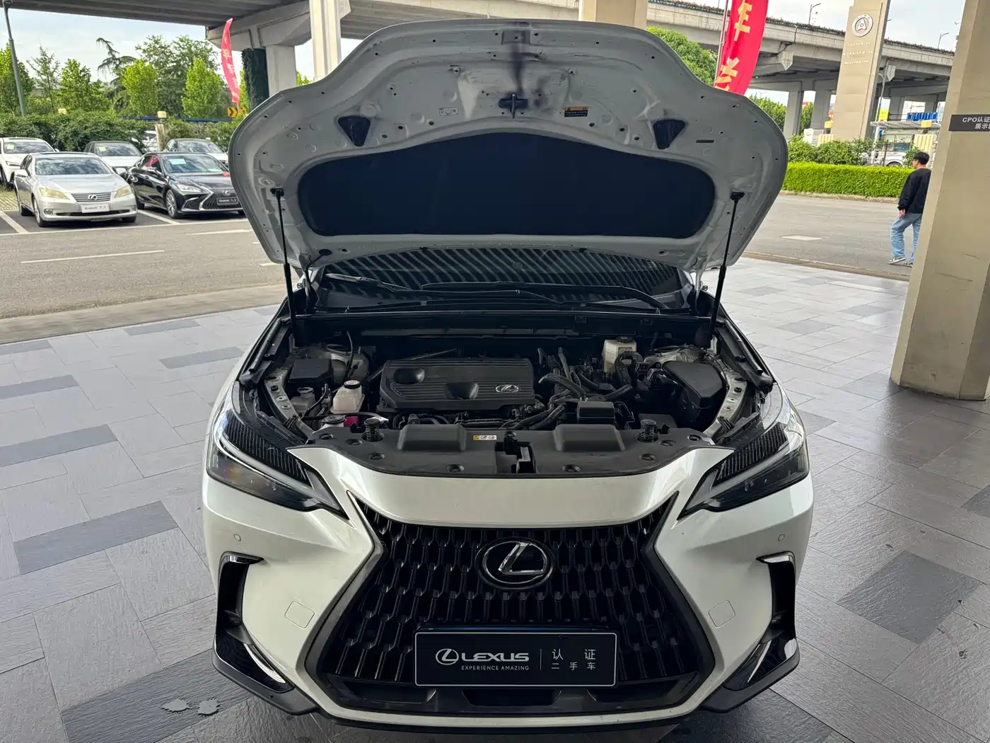 Lexus NX 2024 350h FWD Joy Creation Edition фото 18