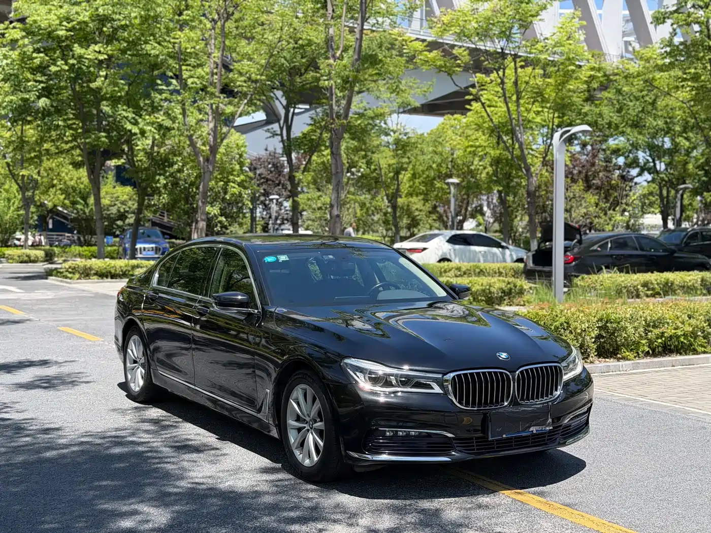 BMW 7 Series 2016 730Li Leading фото 3