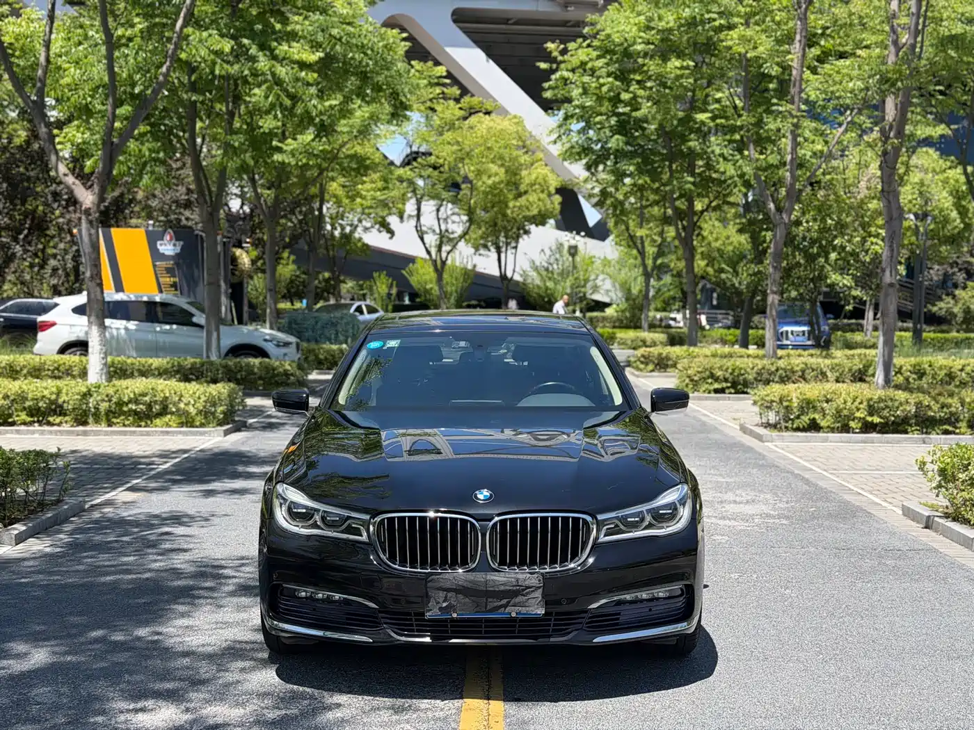 BMW 7 Series 2016 730Li Leading фото 2