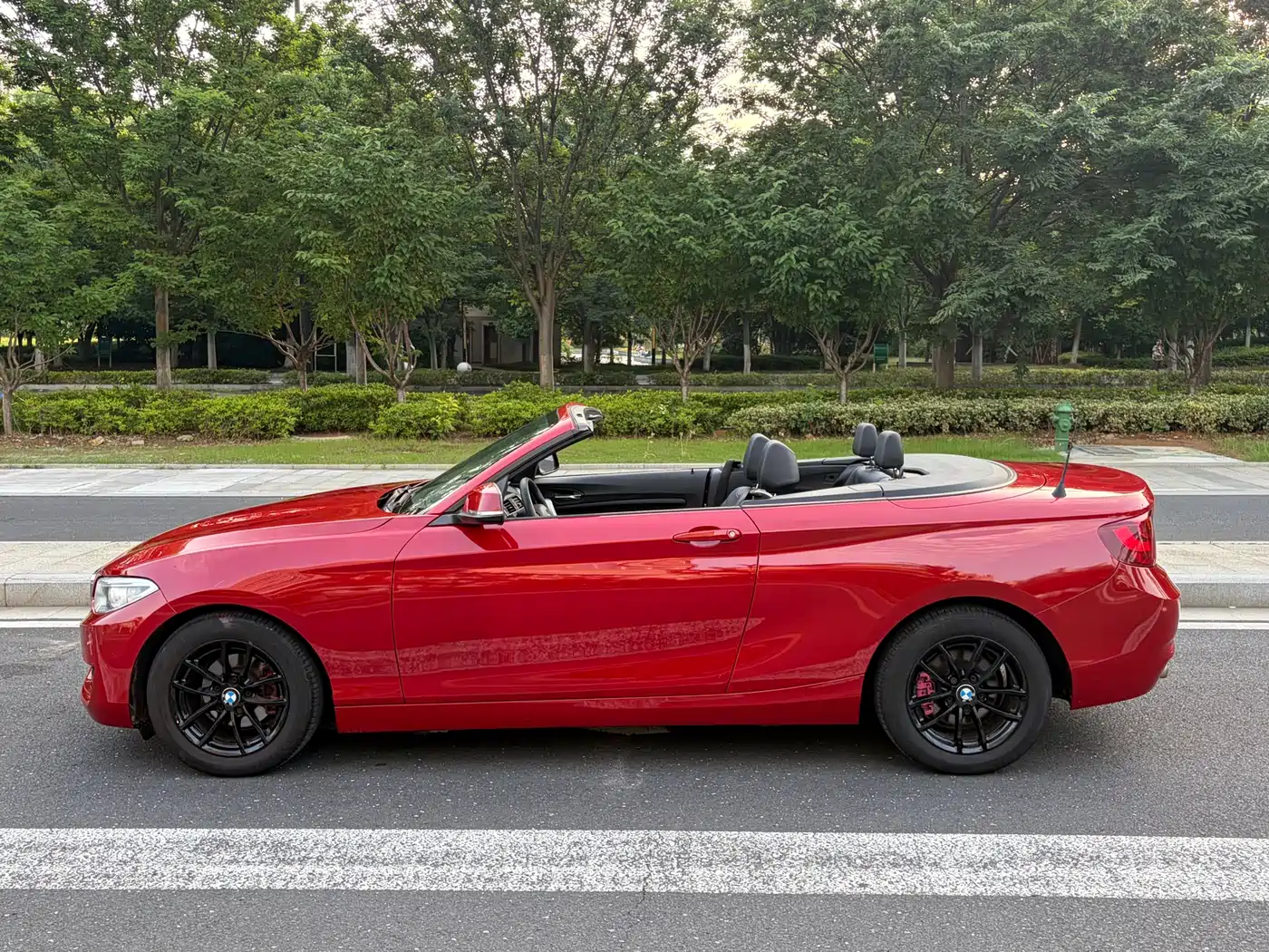 BMW 2 Series (Import) 2015 218i Convertible Coupe фото 17