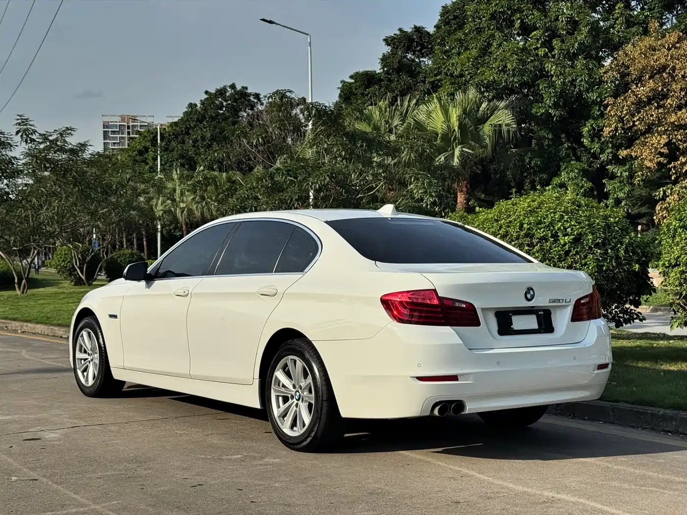 BMW 5 Series 2014 520Li Elegance фото 7