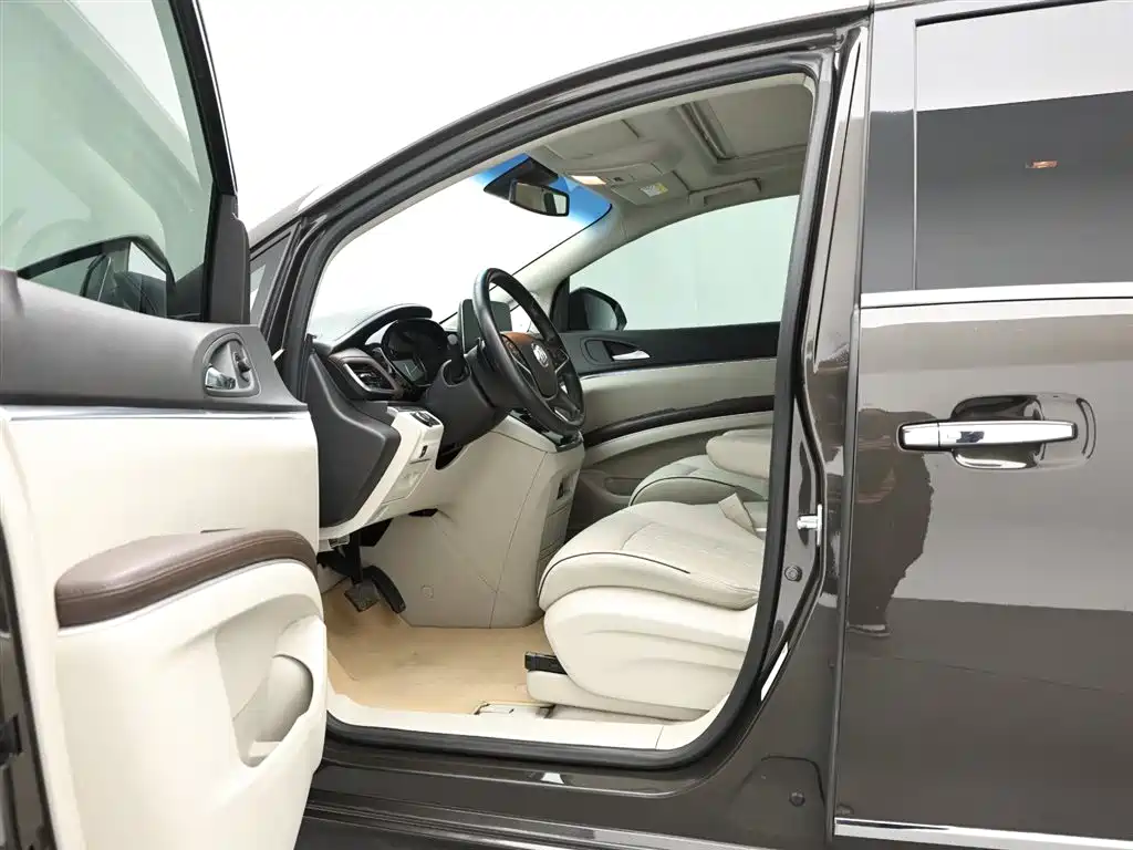 Buick GL8 2021 Land Business Class 652T Luxury фото 10