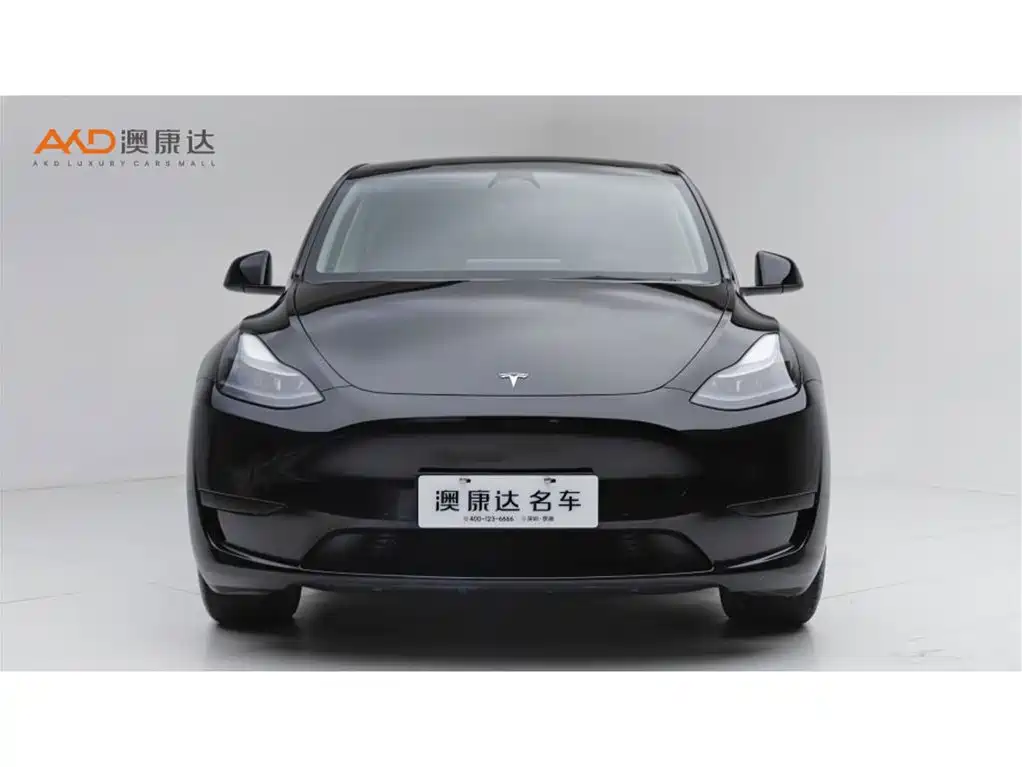 Фото 2 - Tesla Model Y
