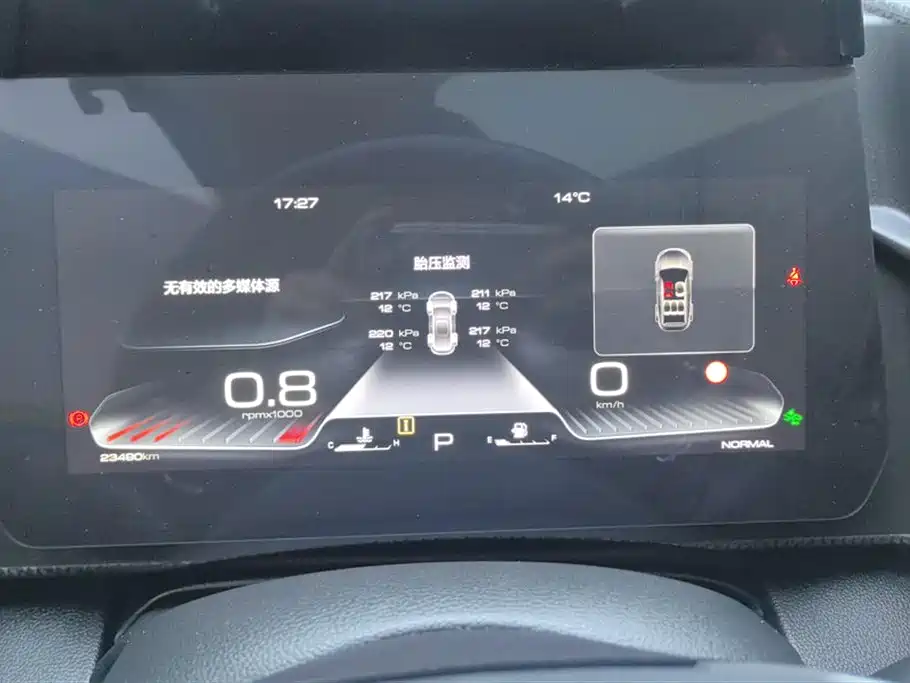 Haval Big Dog 2024 1.5T DCT Border Collie Edition фото 14