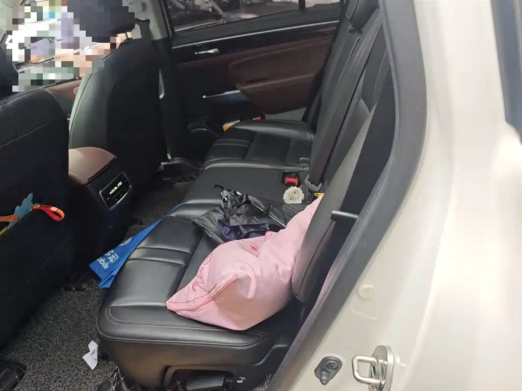 GAC Trumpchi Trumpchi GS8 2017 320T AWD Luxury Smart Connect (7-Seater) фото 13