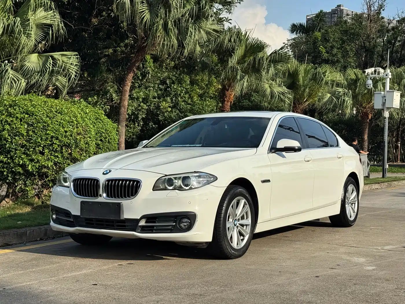 BMW 5 Series 2014 520Li Elegance