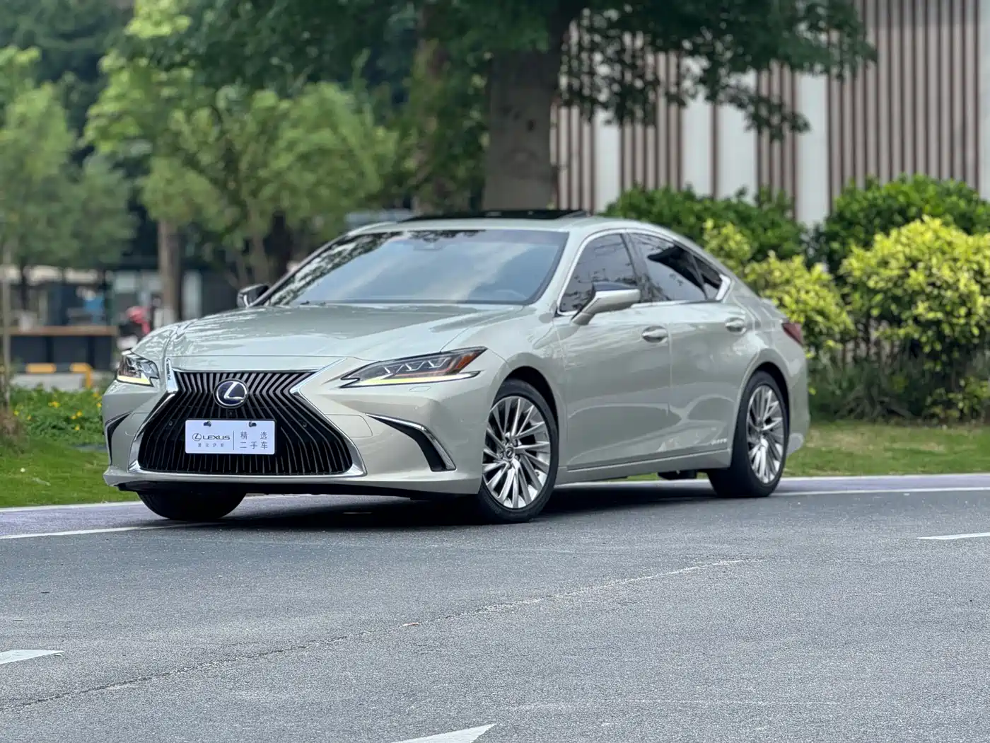 Lexus ES 2018 300h Executive Edition China V
