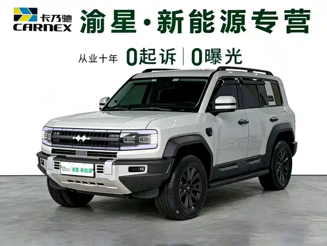 fang-cheng-bao leopard-5