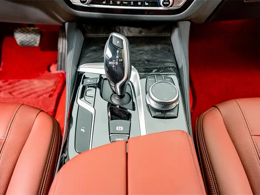 BMW 5 Series 2020 530Li Leading M Sport Package фото 13