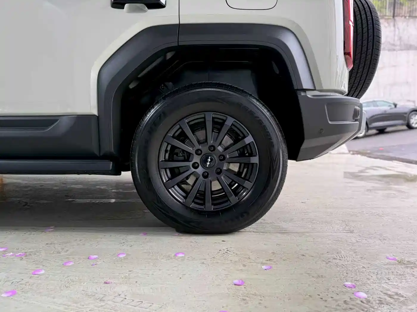 FANG CHENG BAO LEOPARD 5