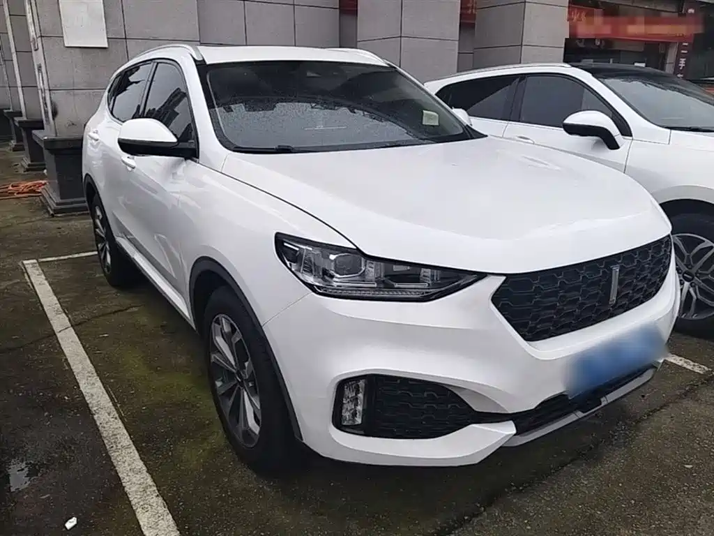 Фото 4 - WEY VV6