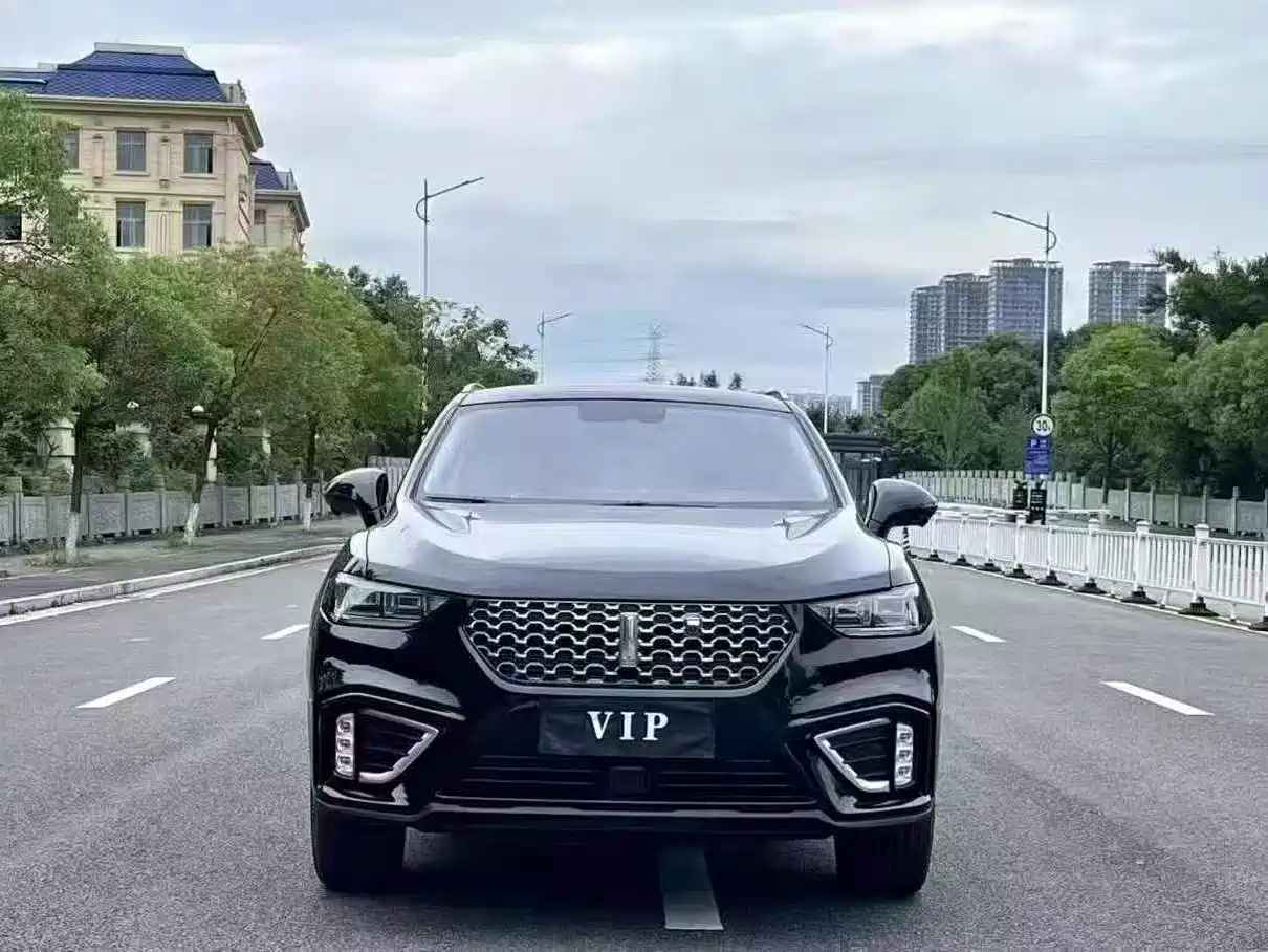 WEI PAI WEI BRAND VV5