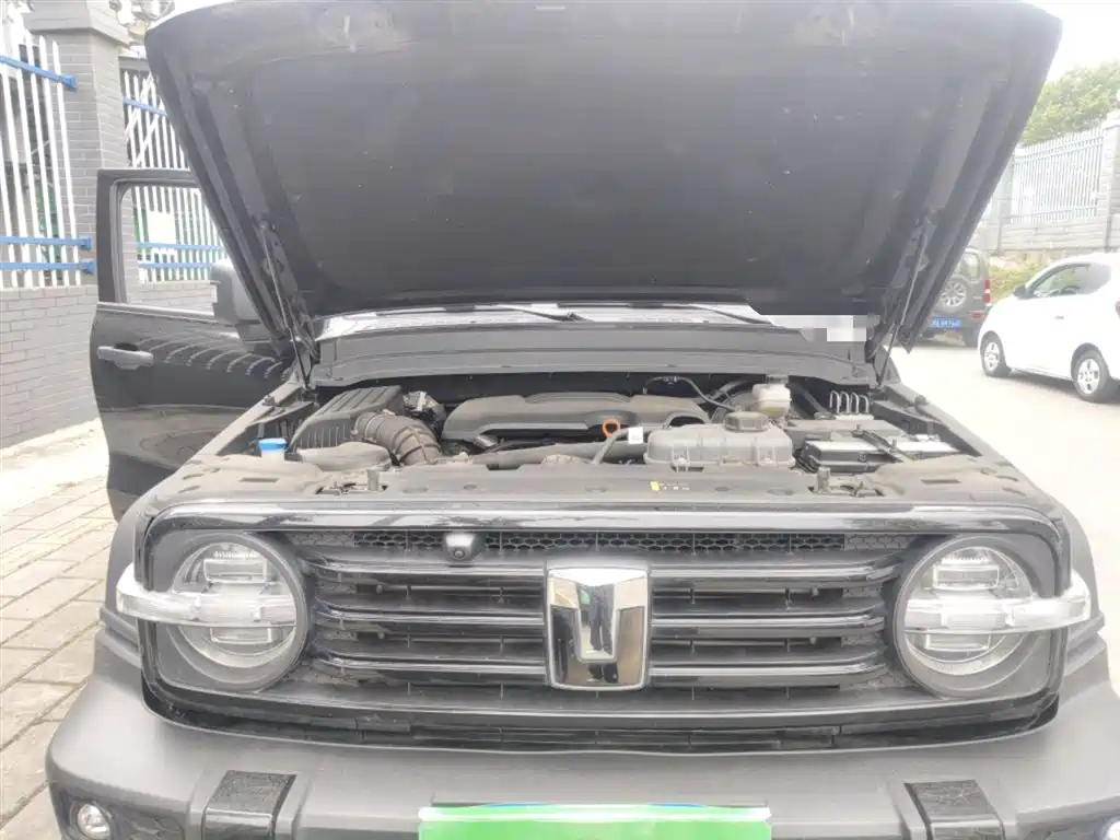 Tank 300 2024 Model 2.0T Challenger фото 16