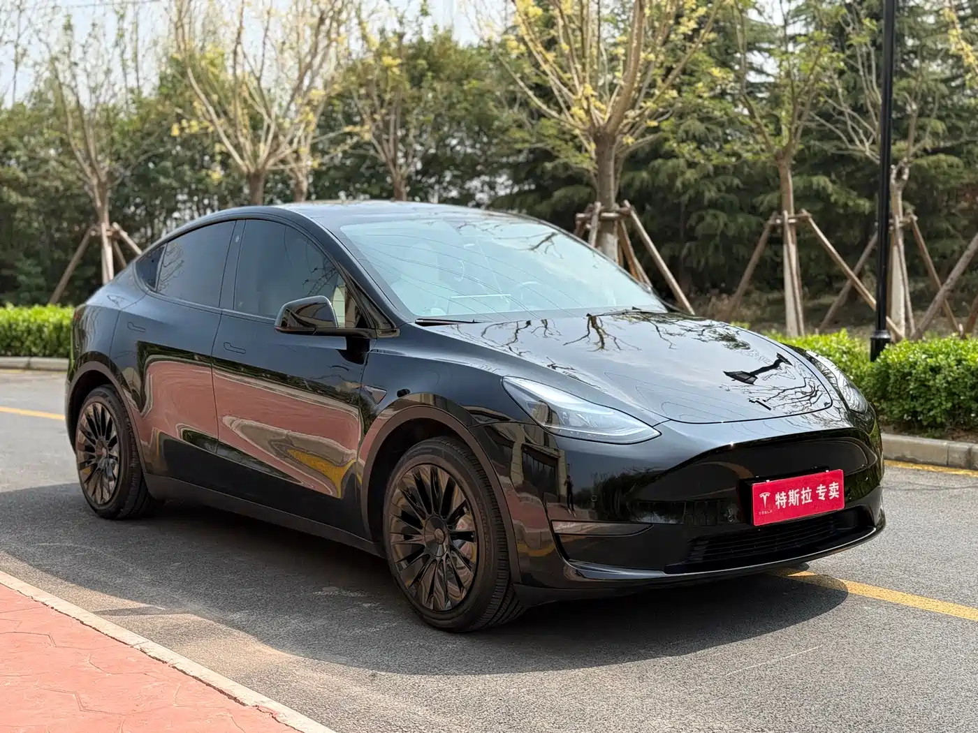 TESLA MODEL Y