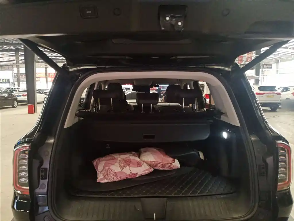 Haval Big Dog 2022 1.5T DCT FWD Border Collie Edition фото 19