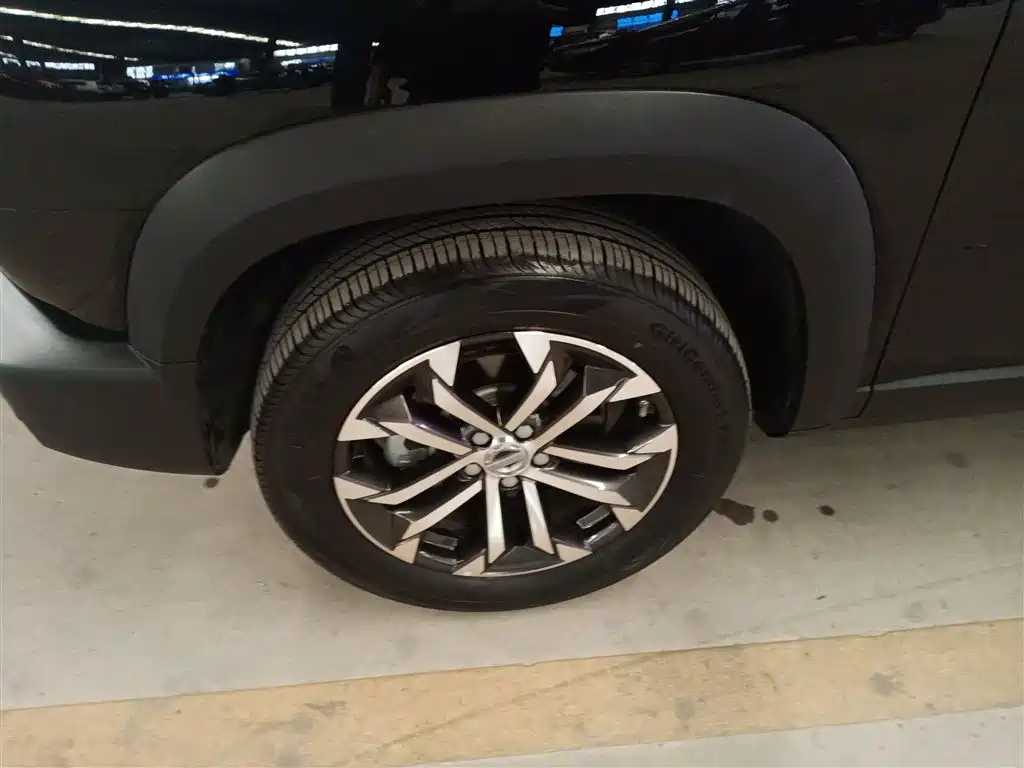Haval Big Dog 2022 1.5T DCT FWD Border Collie Edition фото 23