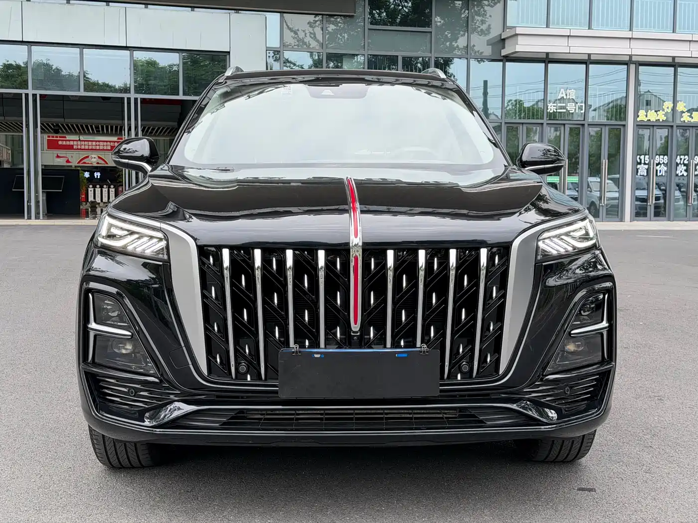 Hongqi HS5 2023 2.0T Flag Enjoy Pro Edition фото 2