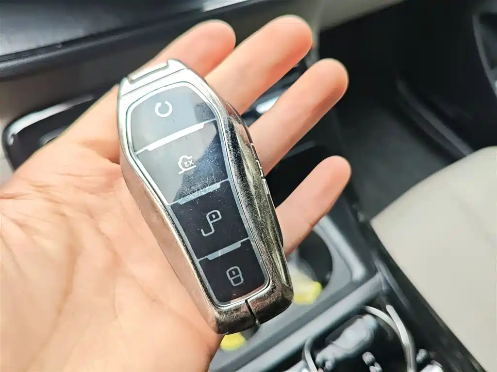 BYD Qin PLUS 2024 Glory Edition DM-i 55KM Leading фото 9