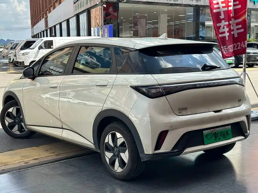 BYD Dolphin 2025 2025 420km Freedom Edition