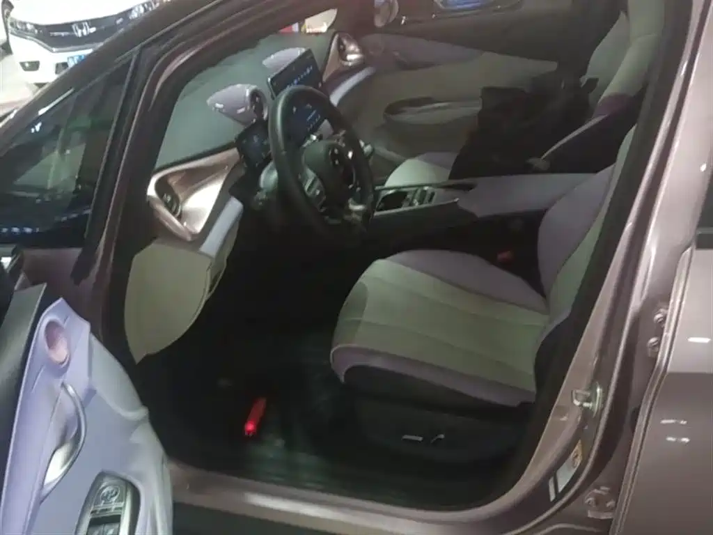 BYD Dolphin 2021 Model 405km Fashion Edition фото 15