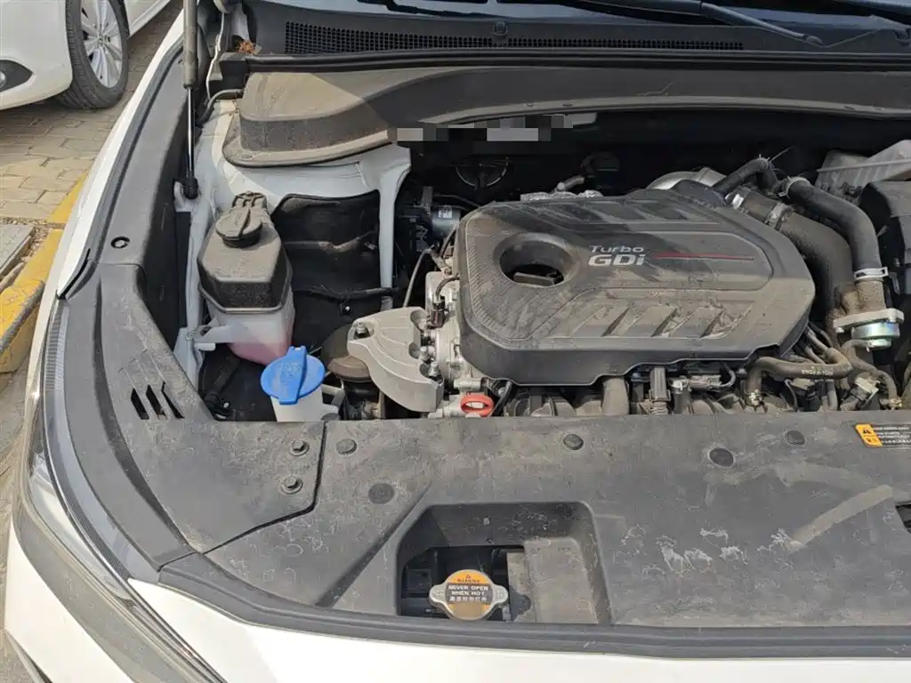 Hyundai Santa Fe 2020 380 TGDi Auto 2WD GLS Luxury фото 22