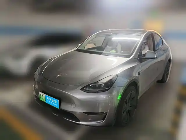 Tesla Model Y 2024 Long Range AWD — фото 1