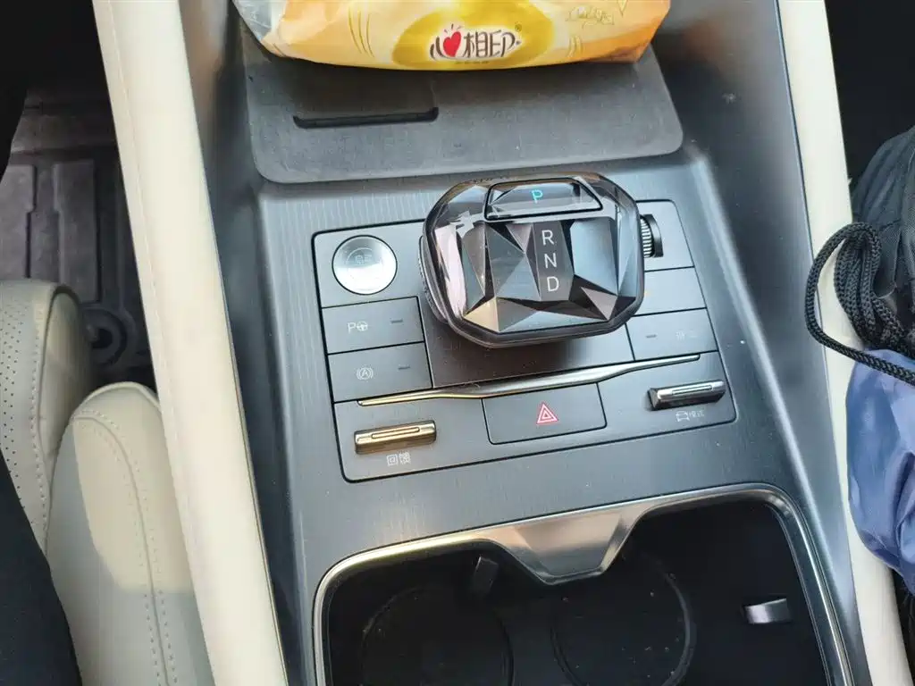 BYD Song L EV 2025 662km Excellence Smart Driving Model фото 10