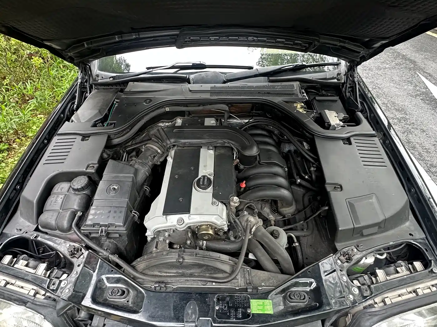 Mercedes-Benz S-Class 1999 S 320 фото 12