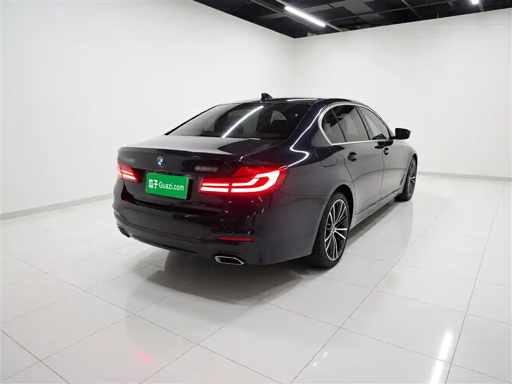 BMW 5 Series 2020 530Li Leading M Sport Package фото 6