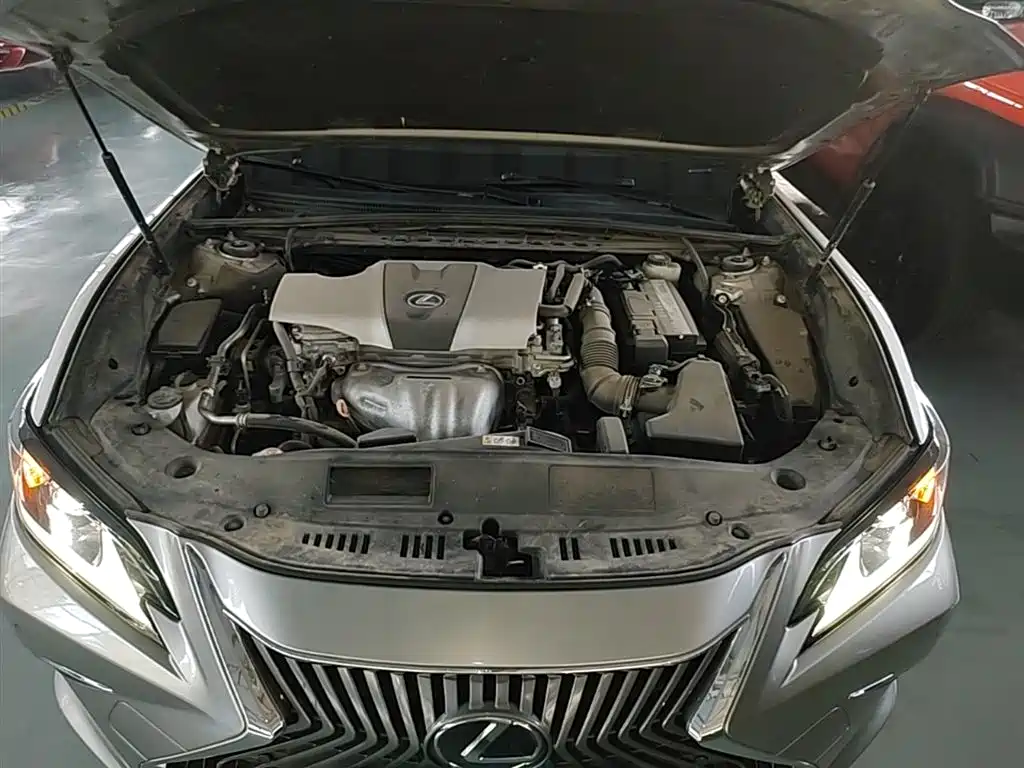 Lexus ES 2018 200 Luxury Edition China V фото 20