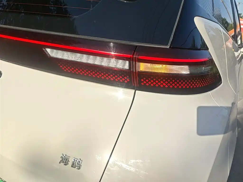 BYD Seagull 2024 Glory Edition 305km Vitality Edition фото 8
