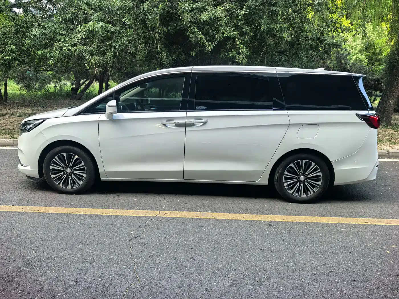 Buick GL8 2021 ES Landlord 653T Luxury фото 20