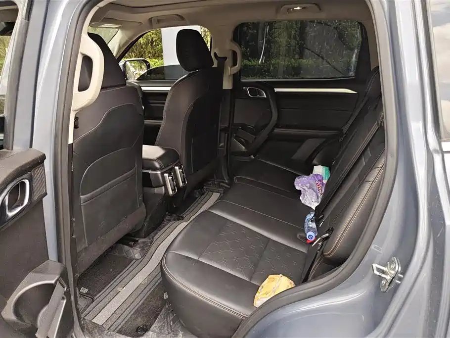 Haval Big Dog 2021 1.5T DCT 2WD Border Collie Edition фото 10