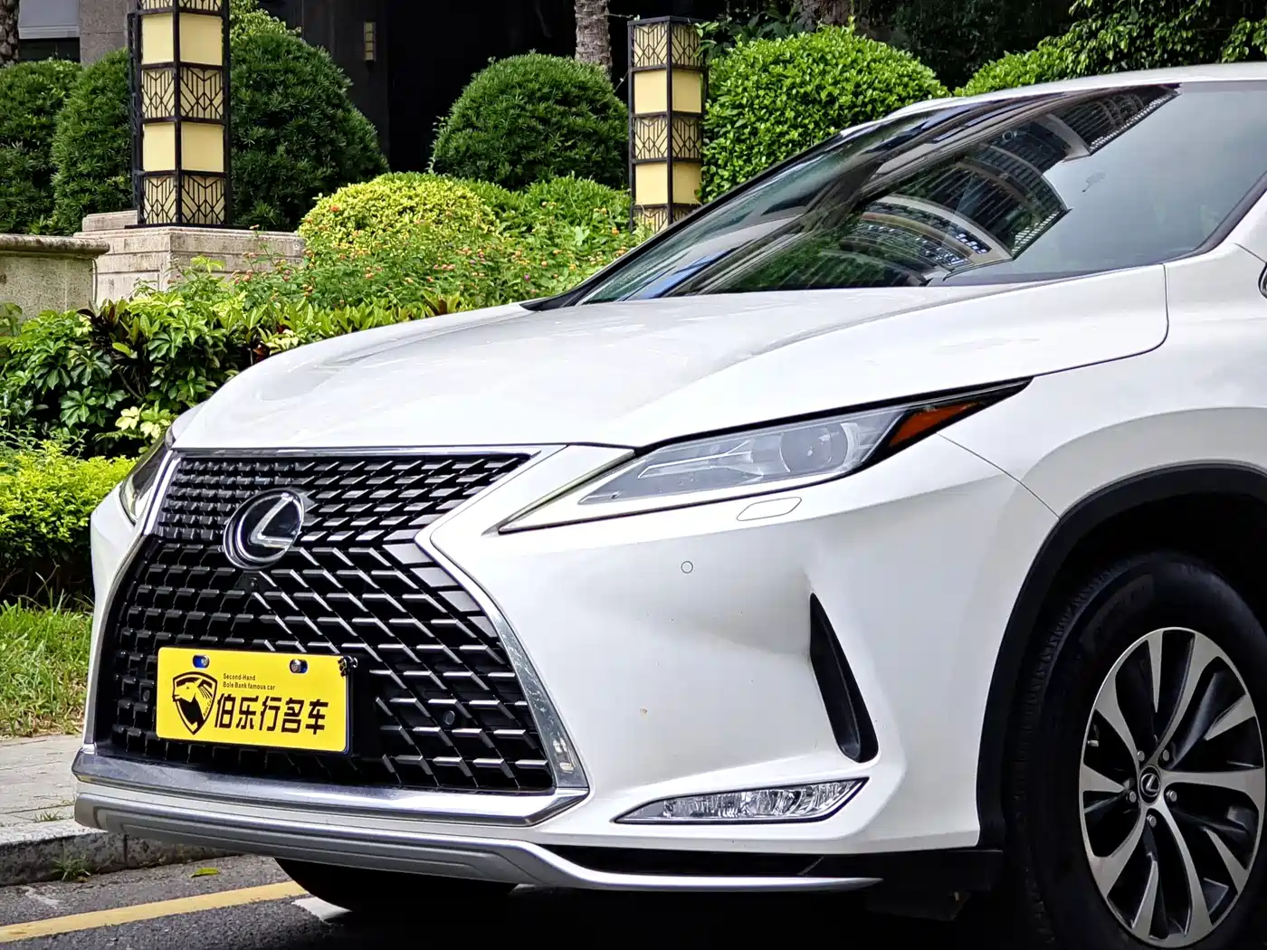 Lexus RX 2020 Facelift 300 2WD Elite Edition фото 5