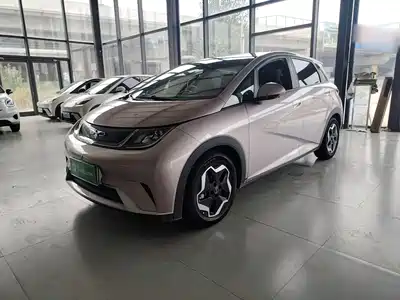 BYD Dolphin
