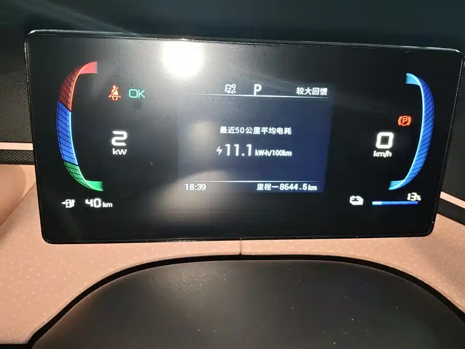 BYD Seagull 2023 Vitality Edition фото 14