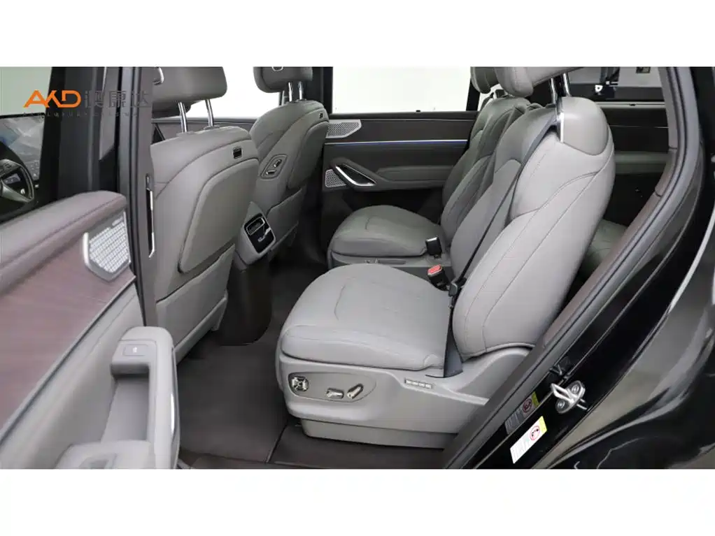 Denza N9 2025 Model Prestige Edition фото 7
