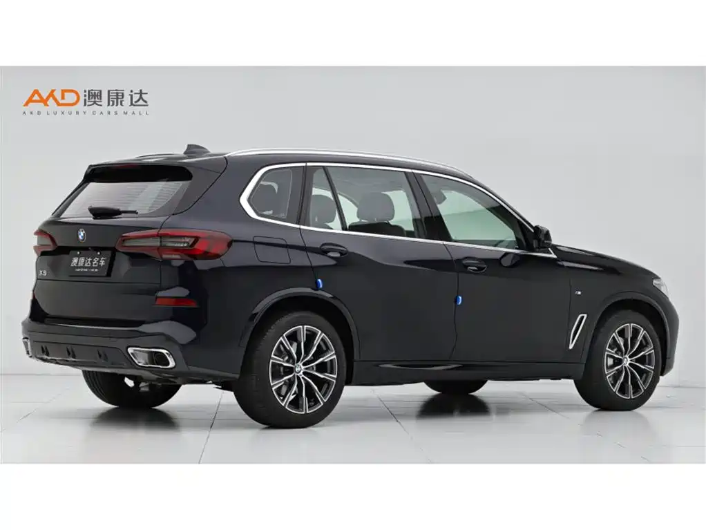 BMW X5 2022 Facelift xDrive 30Li Premium M Sport Package фото 3