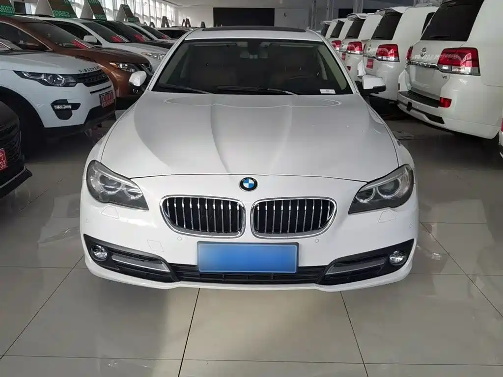 BMW 5 Series 2014 520Li Elegance фото 3