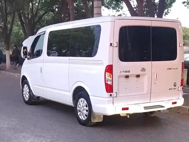 SAIC Maxus Xintu V80 2020 2.0T AMT PLUS Urban Edition Short Wheelbase Ultra-low Roof 5/6-seater фото 10