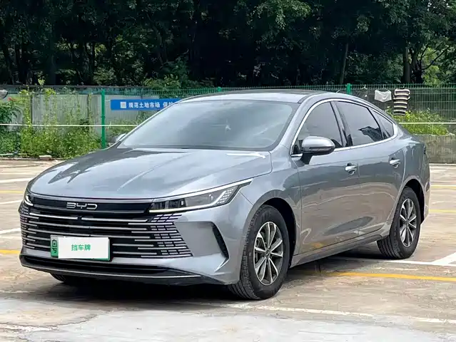 BYD Destroyer 05 2024