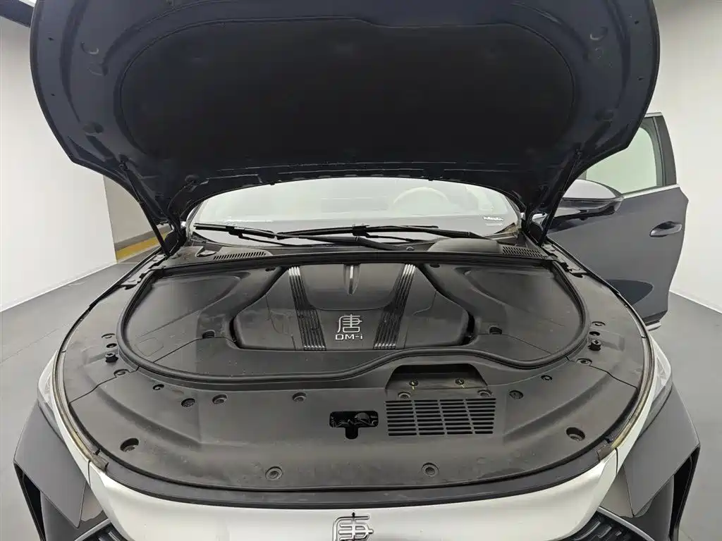 BYD Tang New Energy 2025 DM-i 115KM Cloud Chariot Flagship фото 20
