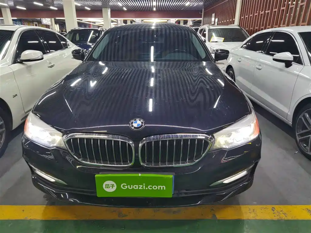 BMW 5 Series 2018 528Li Launch Special Edition фото 3